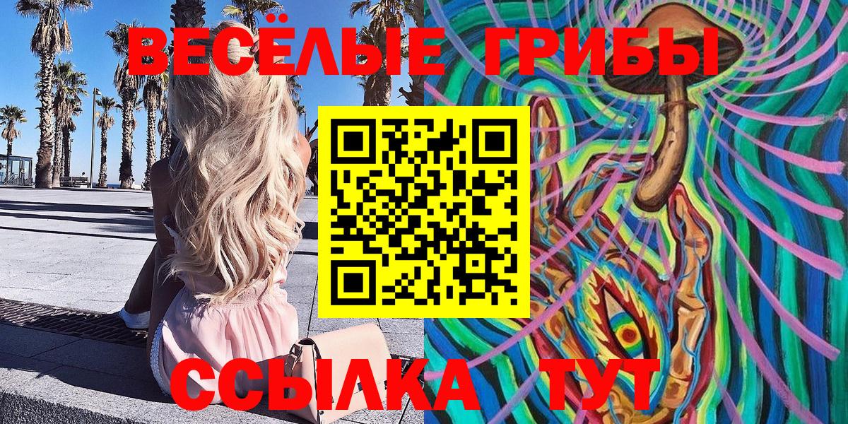 Галлюциногенные грибы Psilocybine cubensis Куйбышев