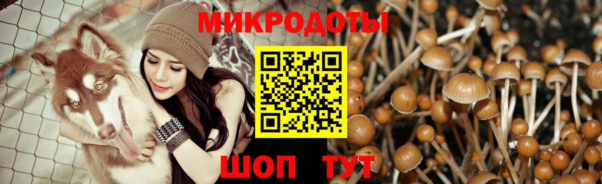 Галлюциногенные грибы Cubensis  Вход с VPN  Псилоцибиновые грибы Psilocybe  Куйбышев 